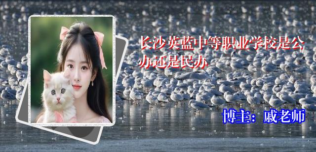 长沙英蓝中等职业学校是公办还是民办