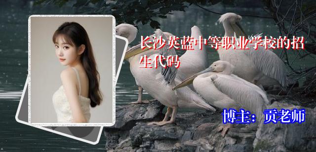 长沙英蓝中等职业学校的招生代码