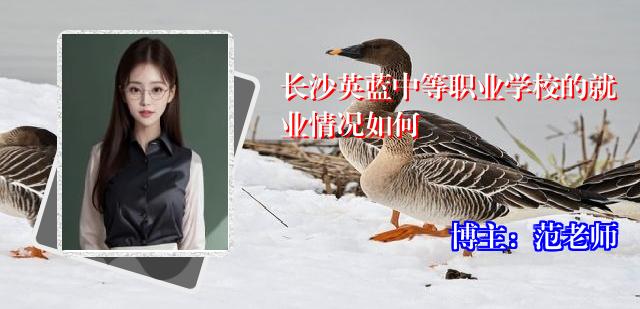 长沙英蓝中等职业学校的就业情况如何