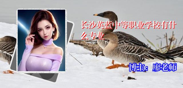 长沙英蓝中等职业学校有什么专业