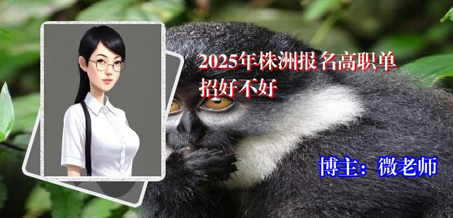 2025年株洲报名高职单招好不好