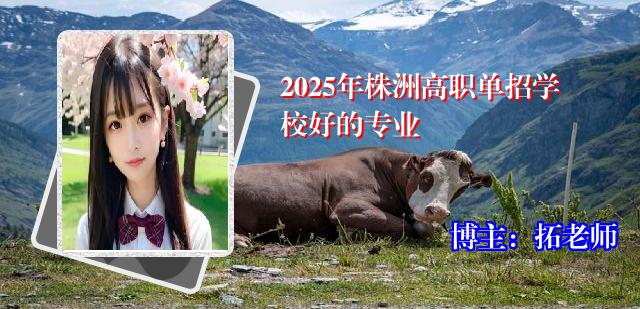 2025年株洲高职单招学校好的专业