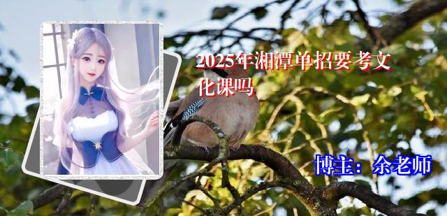 2025年湘潭单招要考文化课吗