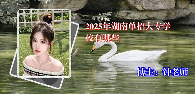 2025年湖南单招大专学校有哪些