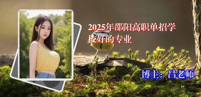 2025年邵阳高职单招学校好的专业