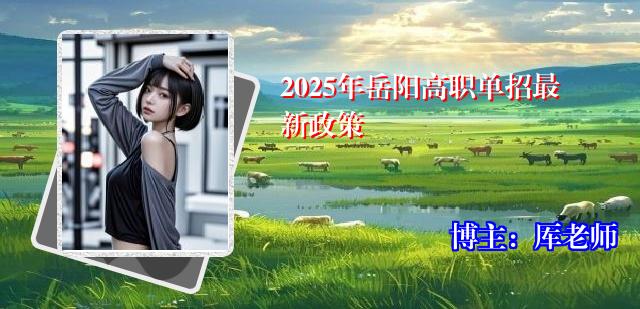 2025年岳阳高职单招最新政策
