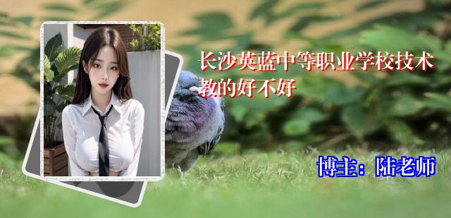 长沙英蓝中等职业学校技术教的好不好