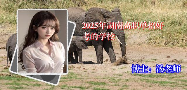2025年湖南高职单招好考的学校