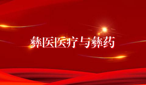 彝医医疗与彝药