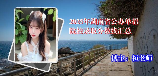 2025年湖南省公办单招院校录取分数线汇总