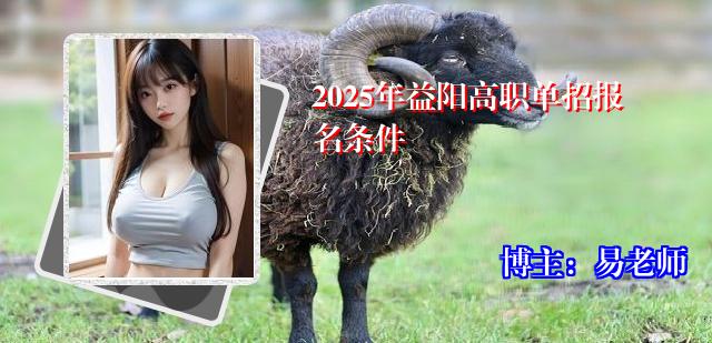 2025年益阳高职单招报名条件