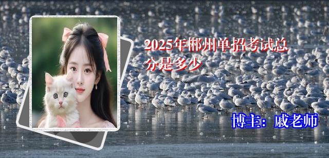 2025年郴州单招考试总分是多少