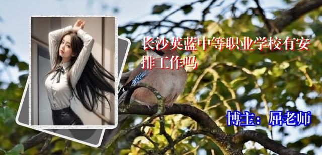 长沙英蓝中等职业学校有安排工作吗