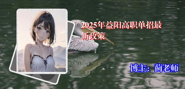 2025年益阳高职单招最新政策