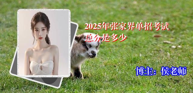 2025年张家界单招考试总分是多少