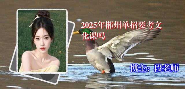 2025年郴州单招要考文化课吗