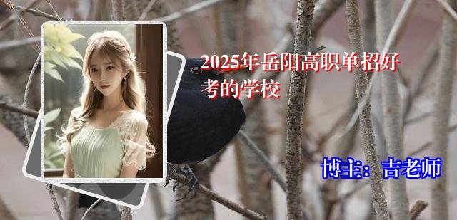 2025年岳阳高职单招好考的学校