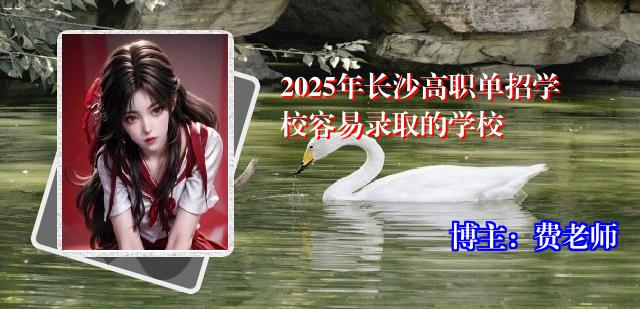 2025年长沙高职单招学校容易录取的学校