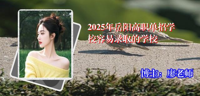 2025年岳阳高职单招学校容易录取的学校
