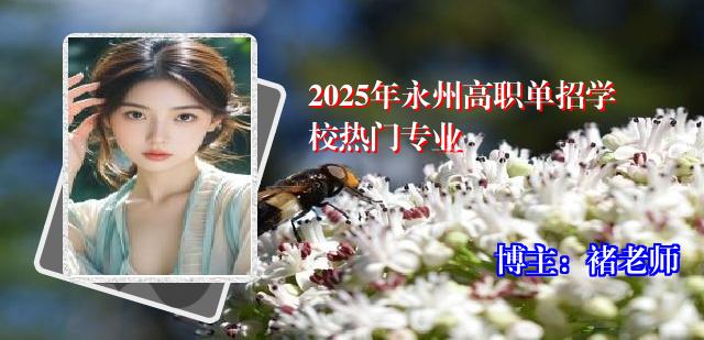 2025年永州高职单招学校热门专业