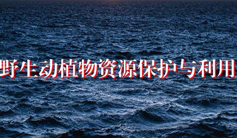 野生动植物资源保护与利用