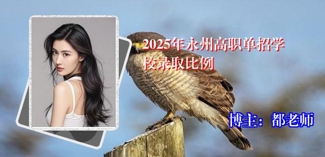 2025年永州高职单招学校录取比例