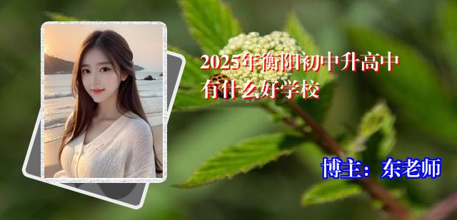 2025年衡阳初中升高中有什么好学校