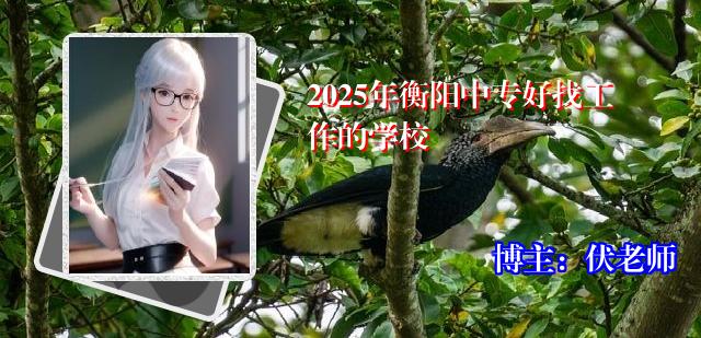 2025年衡阳中专好找工作的学校