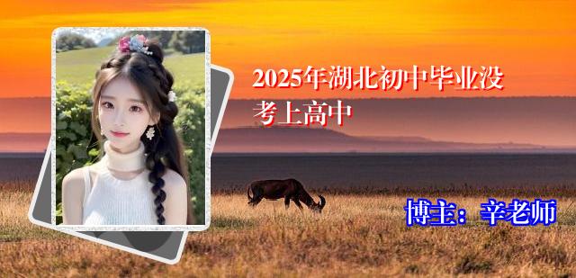 2025年湖北初中毕业没考上高中