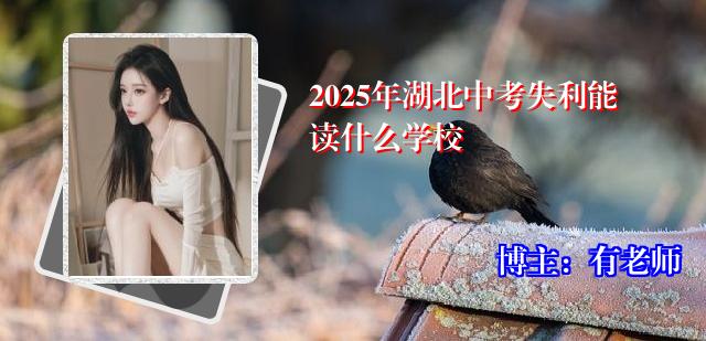 2025年湖北中考失利能读什么学校