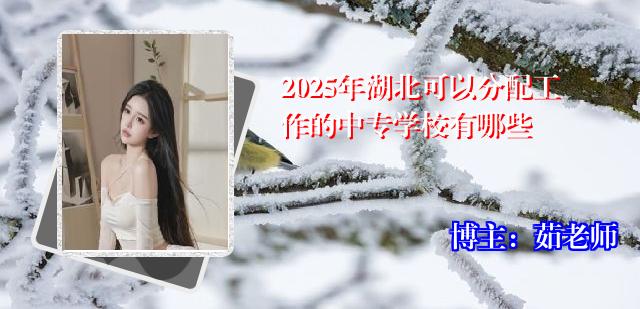 2025年湖北可以分配工作的中专学校有哪些