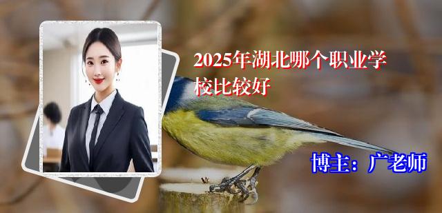 2025年湖北哪个职业学校比较好