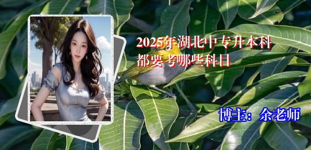2025年湖北中专升本科都要考哪些科目