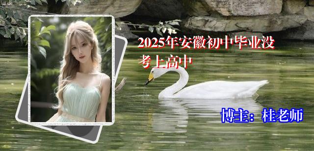 2025年安徽初中毕业没考上高中