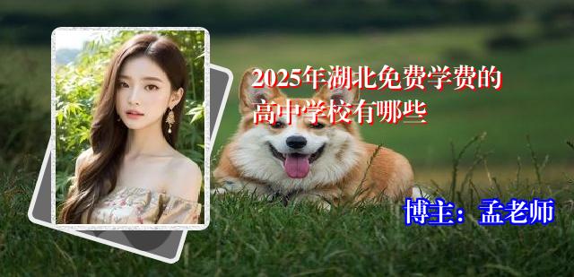 2025年湖北免费学费的高中学校有哪些