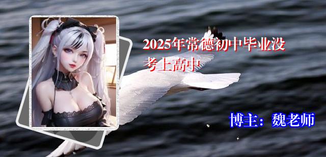 2025年常德初中毕业没考上高中