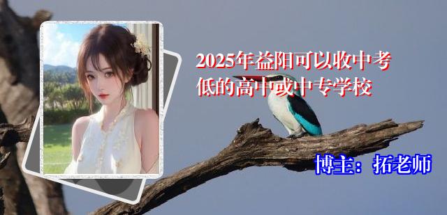 2025年益阳可以收中考低的高中或中专学校