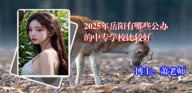 2025年岳阳有哪些公办的中专学校比较好