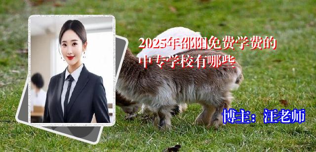2025年邵阳免费学费的中专学校有哪些