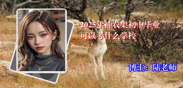 2025年神农架初中毕业可以考什么学校