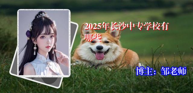 2025年长沙中专学校有哪些