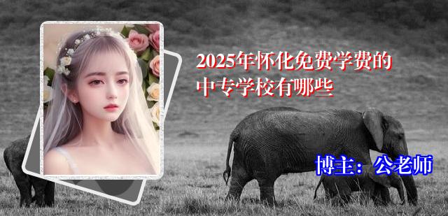 2025年怀化免费学费的中专学校有哪些