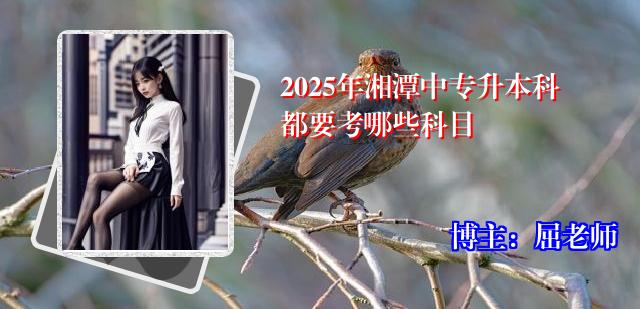 2025年湘潭中专升本科都要考哪些科目