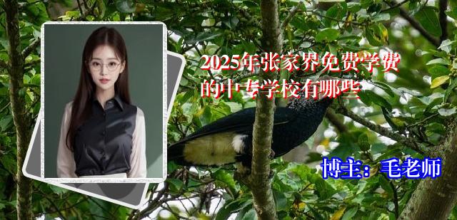 2025年张家界免费学费的中专学校有哪些