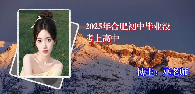 2025年合肥初中毕业没考上高中