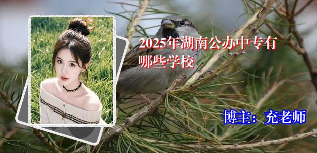 2025年湖南公办中专有哪些学校