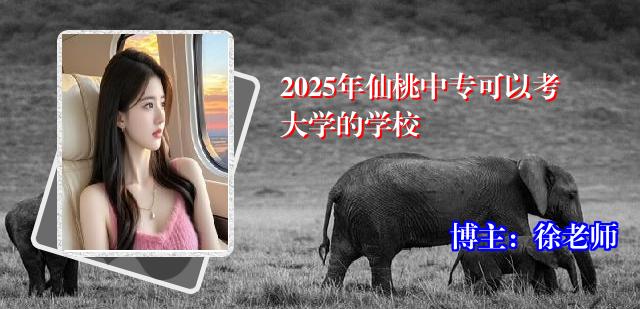 2025年仙桃中专可以考大学的学校