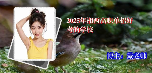 2025年湘西高职单招好考的学校