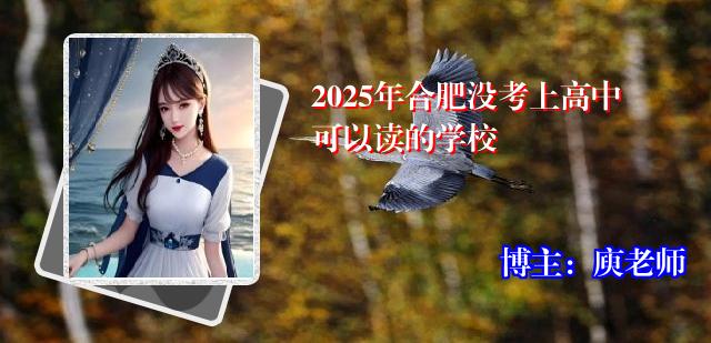 2025年合肥没考上高中可以读的学校