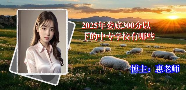 2025年娄底300分以下的中专学校有哪些